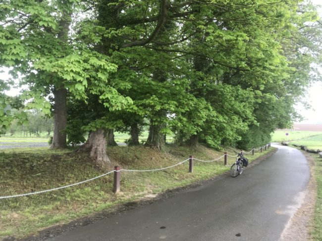 La drève du Grand Chemin