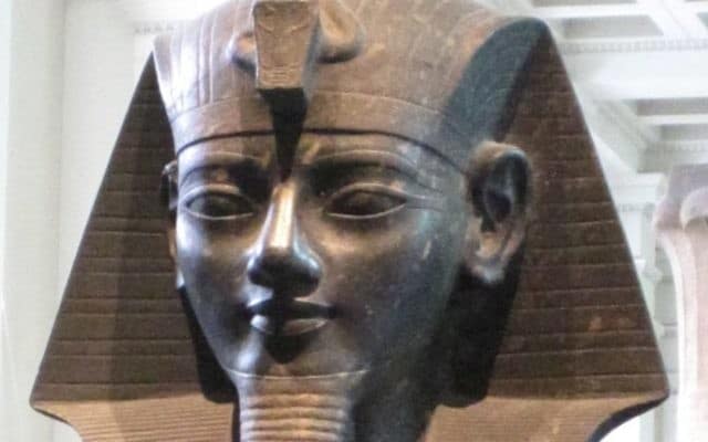 ROXANE - Les spécialistes égyptiens des Pharaons