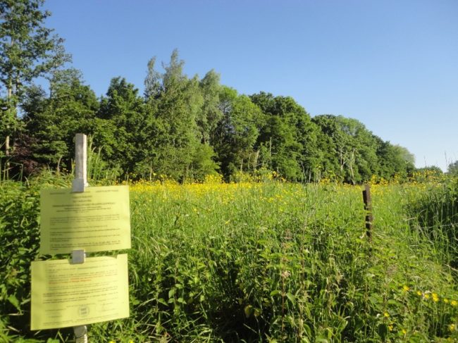 Mévergnies - Enquête publique