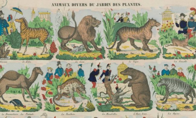Ménagerie – Le jardin des plantes à Paris Ménagerie - Le jardin des plantes à Paris
